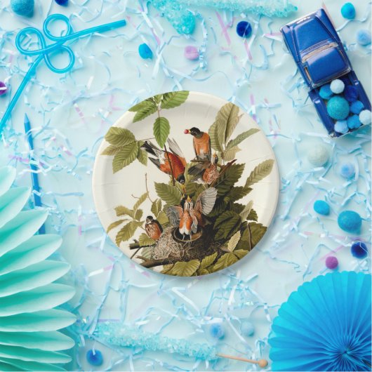 Audubon American Robin Wildlife Bird Illustration Pappteller (Party)