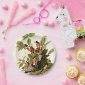 Audubon American Robin Wildlife Bird Illustration Pappteller (Party)