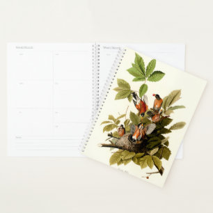 Audubon American Robin Wildlife Bird Illustration Planer