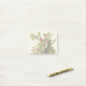 Audubon American Robin Wildlife Bird Illustration Post-it Klebezettel (Auf Schreibtisch)