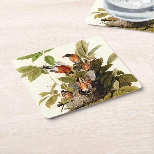 Audubon American Robin Wildlife Bird Illustration Rechteckiger Pappuntersetzer (angewinkelt)