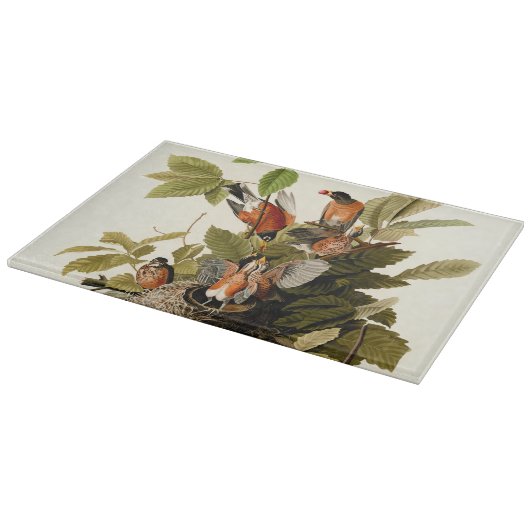 Audubon American Robin Wildlife Bird Illustration Schneidebrett (Ecke)