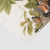 Audubon American Robin Wildlife Bird Illustration Seidenpapier (Ausschnitt)