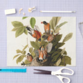 Audubon American Robin Wildlife Bird Illustration Seidenpapier (Handwerk)