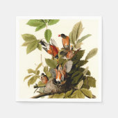 Audubon American Robin Wildlife Bird Illustration Serviette (Vorderseite)