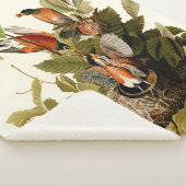 Audubon American Robin Wildlife Bird Illustration Sherpadecke (3/4)