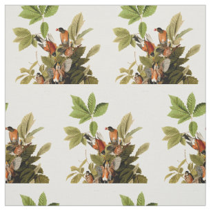 Audubon American Robin Wildlife Bird Illustration Stoff