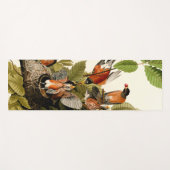 Audubon American Robin Wildlife Bird Illustration Yogamatte (Vorderseite (Horizontal))