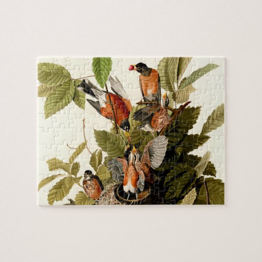 Audubon American Robin Wildlife Bird Puzzle (Horizontal)