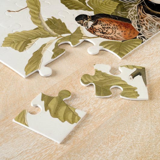 Audubon American Robin Wildlife Bird Puzzle (Seite)
