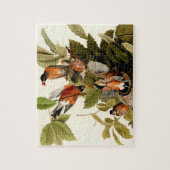 Audubon American Robin Wildlife Bird Puzzle (Vertikal)
