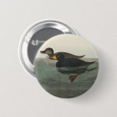 Audubon American Scoter Duck Classic Button (Vorne & Hinten)