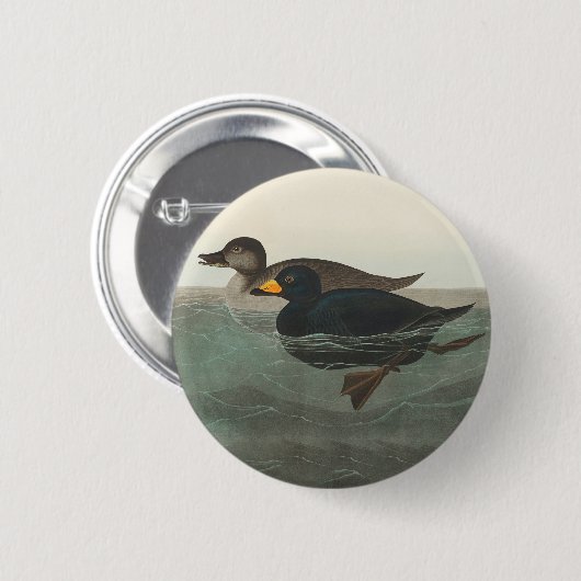 Audubon American Scoter Duck Classic Button (Vorne & Hinten)