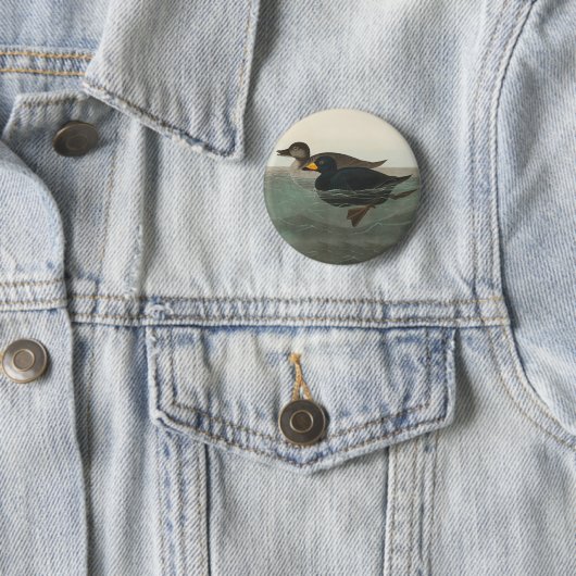 Audubon American Scoter Duck Classic Button (Beispiel)