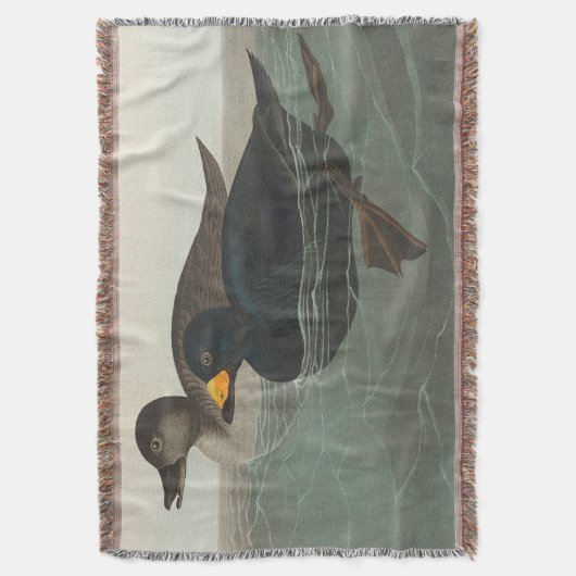 Audubon American Scoter Duck Classic Decke (Vorderseite Vertikal)