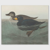 Audubon American Scoter Duck Classic Geschenkpapier (Flach)