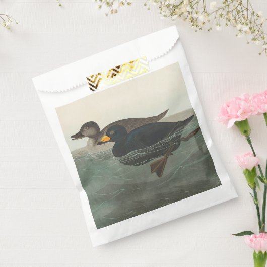 Audubon American Scoter Duck Classic Geschenktütchen (Versiegelt)