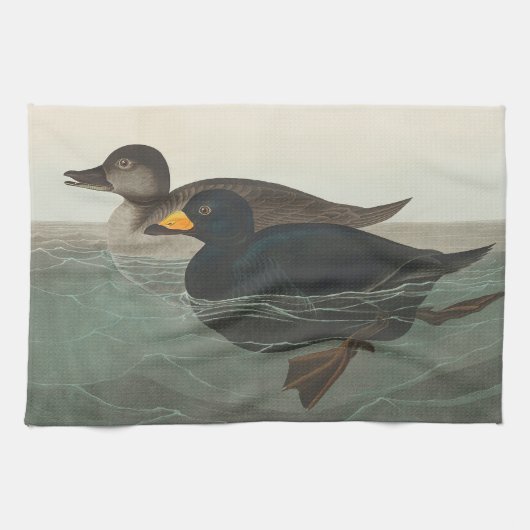 Audubon American Scoter Duck Classic Geschirrtuch (Horizontal)
