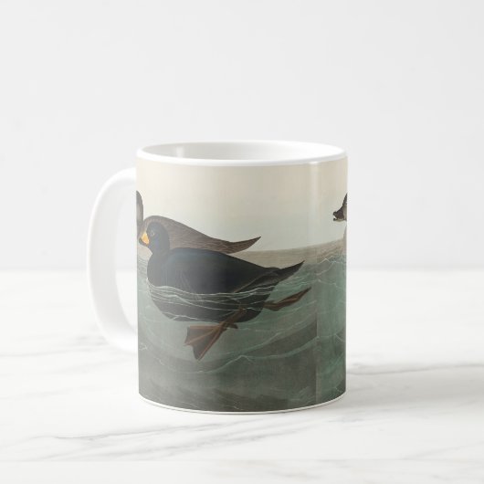 Audubon American Scoter Duck Classic Kaffeetasse (Vorderseite Links)