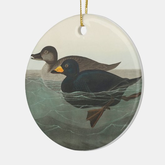 Audubon American Scoter Duck Classic Keramik Ornament (Links)