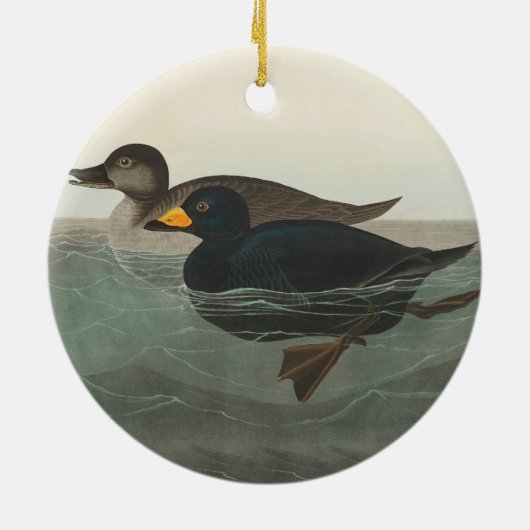 Audubon American Scoter Duck Classic Keramik Ornament (Hinten)