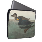 Audubon American Scoter Duck Classic Laptopschutzhülle (Vorne Rechts)