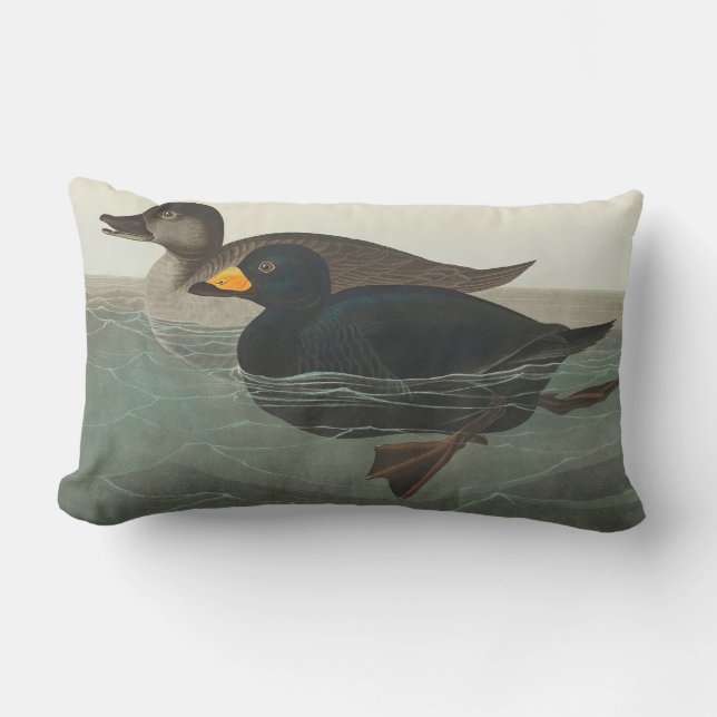 Audubon American Scoter Duck Classic Lendenkissen (Vorderseite)