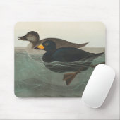 Audubon American Scoter Duck Classic Mousepad (Mit Mouse)
