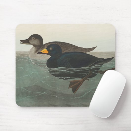 Audubon American Scoter Duck Classic Mousepad (Mit Mouse)