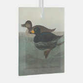 Audubon American Scoter Duck Classic Ornament Aus Glas (Vorderseite Rechts)