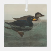 Audubon American Scoter Duck Classic Ornament Aus Glas (Rückseite)