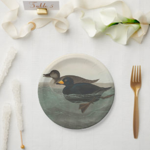 Audubon American Scoter Duck Classic Pappteller
