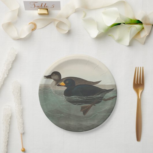 Audubon American Scoter Duck Classic Pappteller (Hochzeit)
