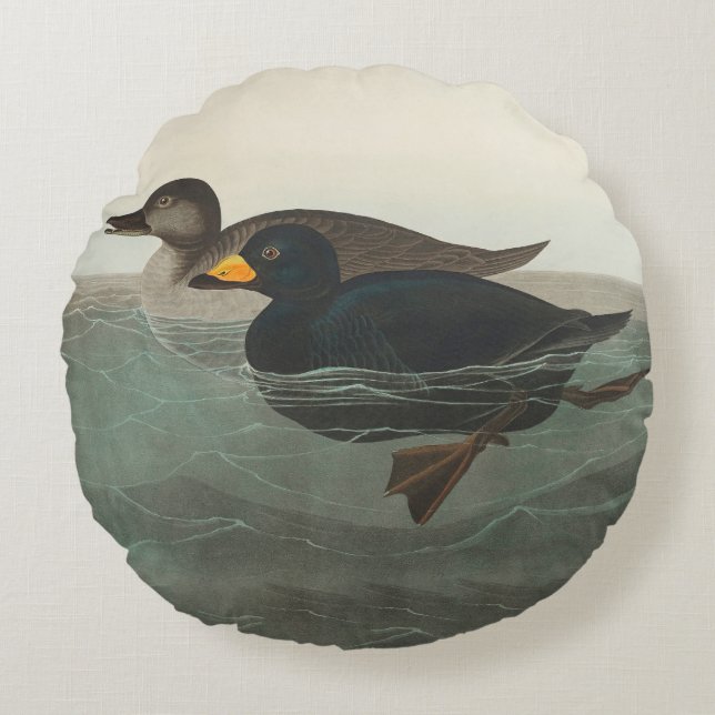 Audubon American Scoter Duck Classic Rundes Kissen (Vorderseite)