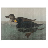 Audubon American Scoter Duck Classic Schneidebrett (Vorderseite)