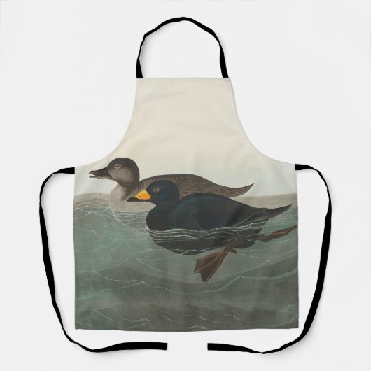 Audubon American Scoter Duck Classic Schürze (Vorderseite)