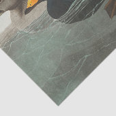 Audubon American Scoter Duck Classic Seidenpapier (Ausschnitt)