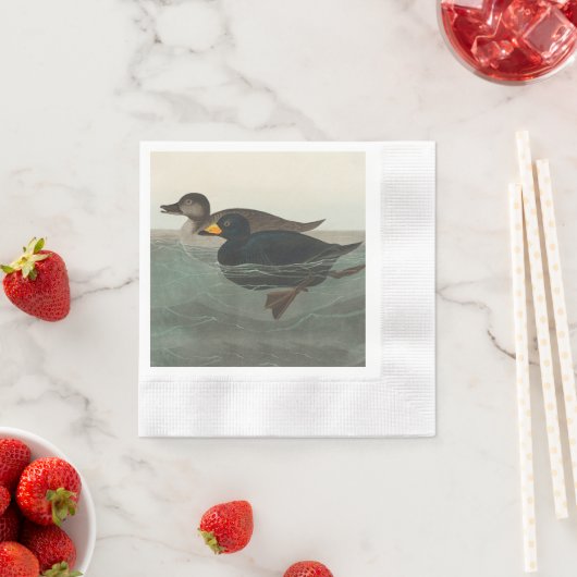 Audubon American Scoter Duck Classic Serviette (Beispiel)