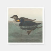 Audubon American Scoter Duck Classic Serviette (Vorderseite)