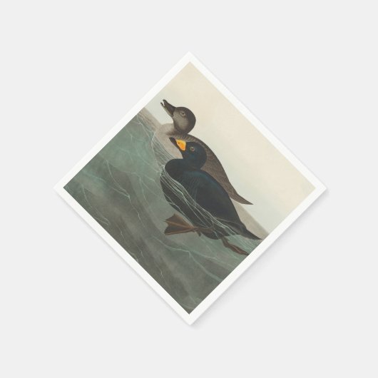 Audubon American Scoter Duck Classic Serviette (Ecke)