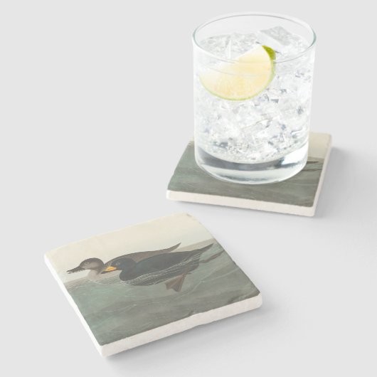 Audubon American Scoter Duck Classic Steinuntersetzer (Seitenansicht)