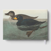 Audubon American Scoter Duck Gästebuch (Rückseite)