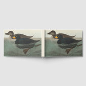 Audubon American Scoter Duck Gästebuch (Voll)