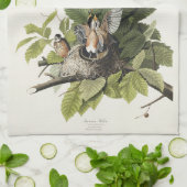 Audubon American Spring Robin Bird Illustration Geschirrtuch (Gefaltet)