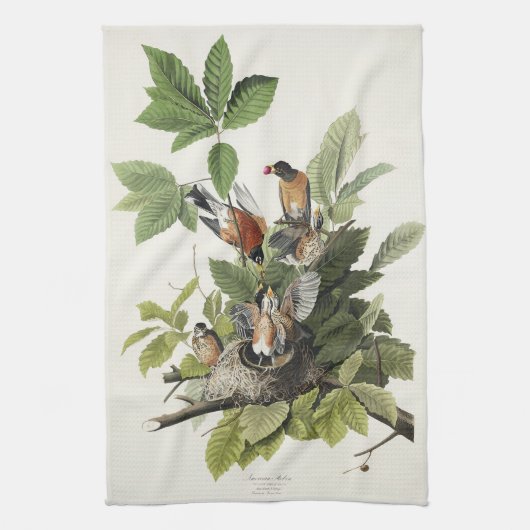 Audubon American Spring Robin Bird Illustration Geschirrtuch (Vertikal)
