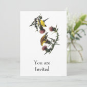 Audubon AmerikanerGoldfinch Einladung (Stehend Vorderseite)