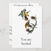 Audubon AmerikanerGoldfinch Einladung (Vorne/Hinten)