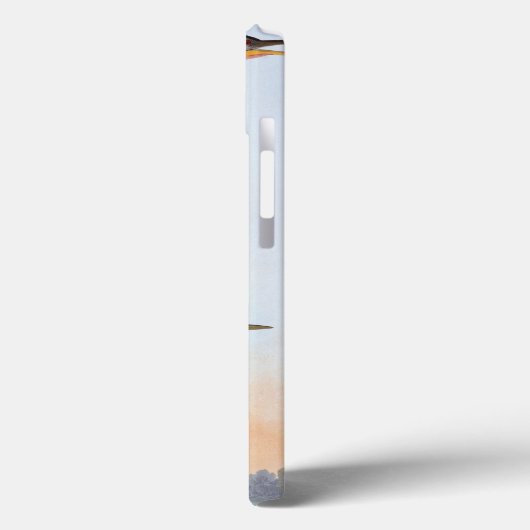 Audubon: Anhinga Case-Mate iPhone Hülle (Rückseite / Links)