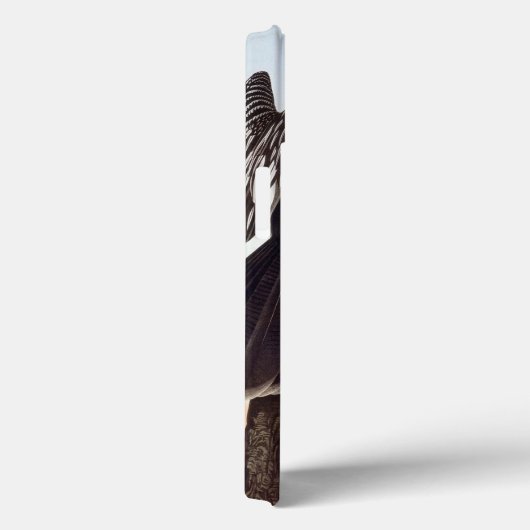 Audubon: Anhinga Case-Mate iPhone Hülle (Rückseite / Rechts)