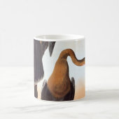Audubon: Anhinga Kaffeetasse (Mittel)